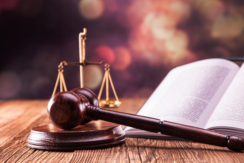  immigration law services