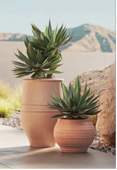 Pot And Planter Store
